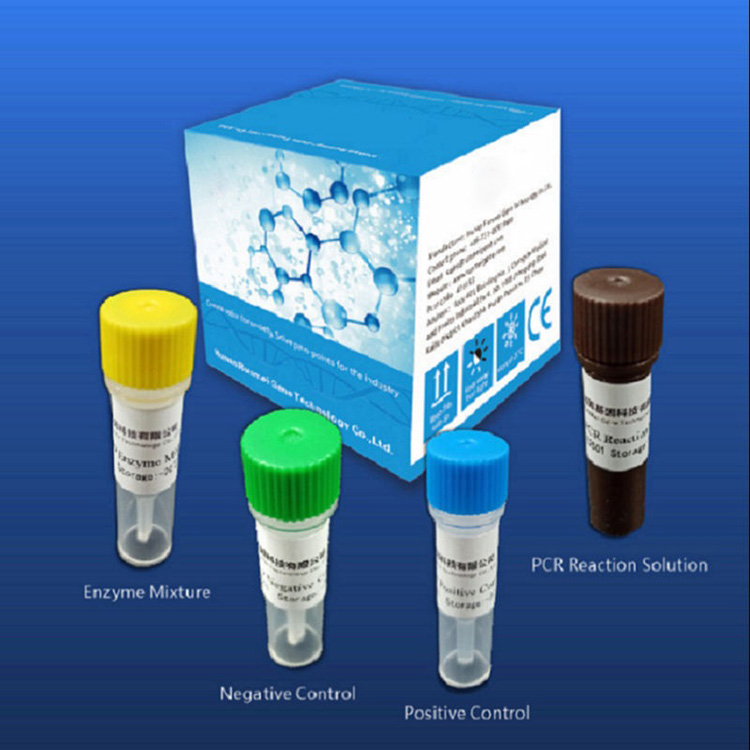 Os kits de teste de diagnóstico de reagente para Covid-2019 dependem da plataforma de Pcr em tempo real